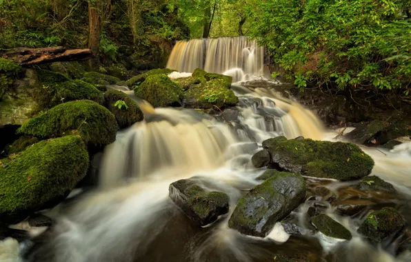 Forest, river, stones, England, waterfall, England, Wales, Wales