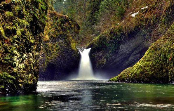 Forest, nature, river, stream, stones, rocks, moss
