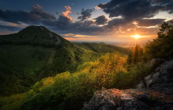 Picture the sun, clouds, rays, landscape, sunset, mountains, nature, forest