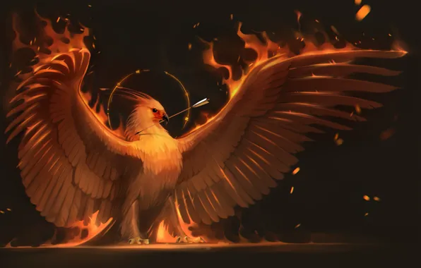 Picture fire, bird, wings, art, arrow, Phoenix, phoenix