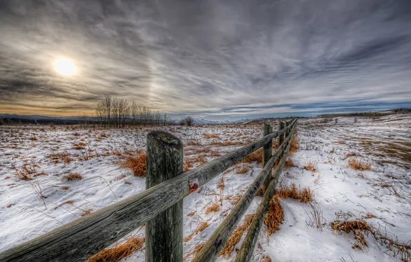 Picture winter, field, the fence