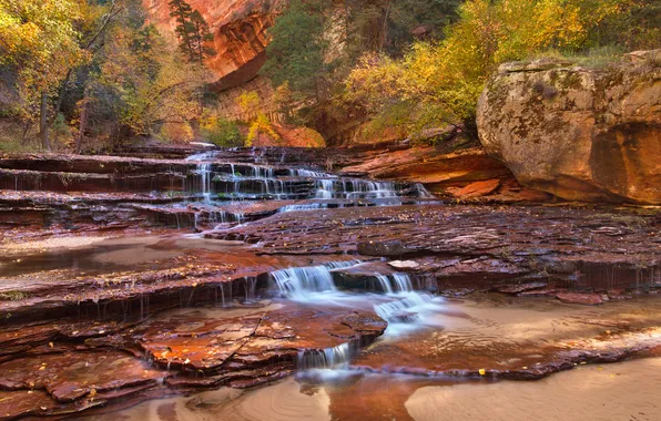 Trees, mountains, stream, rocks, waterfall, Utah, USA, Zion National Par