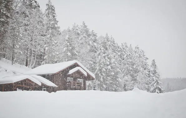 Winter, snow, tale, house, journey, Belokurikha, sinayskaya, donggala