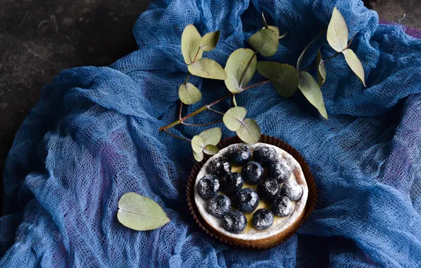 Picture leaves, branches, berries, food, blueberries, fabric, blueberry pie