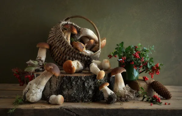 Mushrooms, still life, a lot