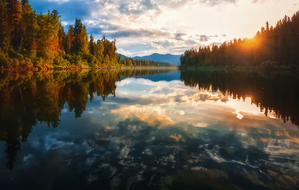 Trees, nature, sunset, water, clouds, outdoors, Nikitin Alexander