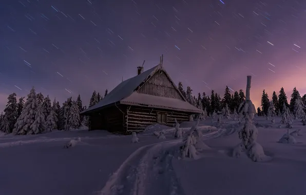 Picture winter, forest, snow, landscape, night, nature, house, track