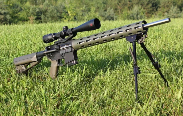 Grass, optics, the sniper variant, modification, fry, Varmint Ar-15