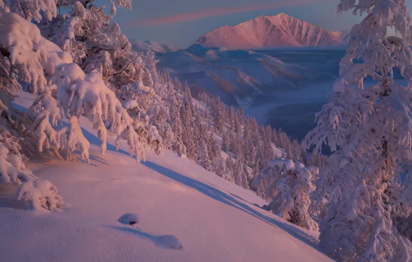 Picture winter, snow, trees, mountains, the snow, Russia, Yakutia, Vladimir Ryabkov