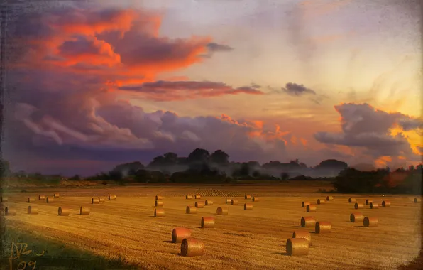 Picture field, the sky, harvest, assembled
