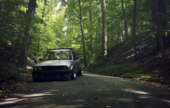 Road, forest, grey, BMW, BMW, grey, sedan, E30