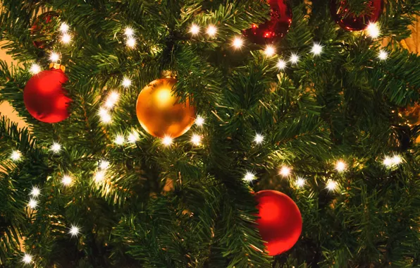Picture decoration, lights, background, tree, new year, Christmas, Christmas, New Year