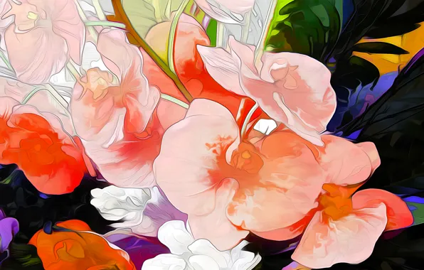 Flowers, petals, garden, flowerbed