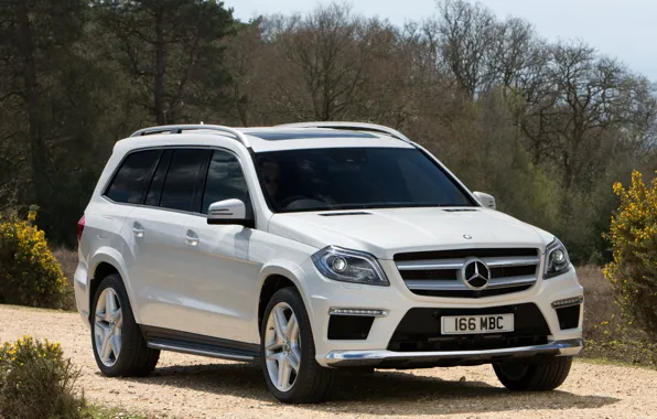 Picture machine, trees, Mercedes-Benz, Mercedes, AMG, Sports Package, BlueTec, GL 350