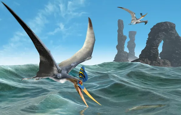 Picture sea, flight, rocks, bird, arch, pterodactyl