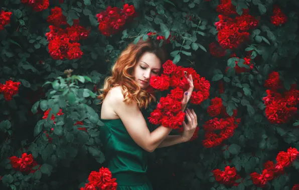Girl, flowers, pose, mood, roses, hands, Natalie