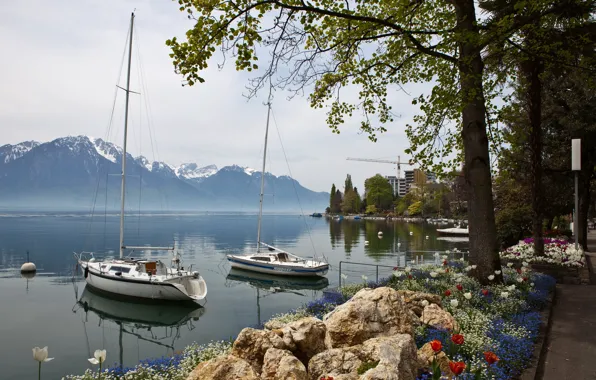 Landscape, mountains, nature, coast, yacht, Switzerland, Montreux, sailing