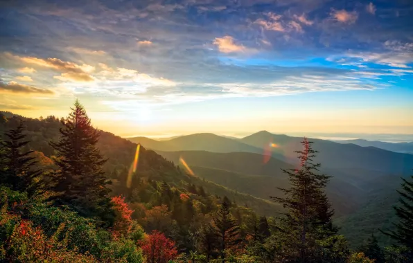 Forest, the sky, the sun, clouds, trees, mountains, panorama, USA