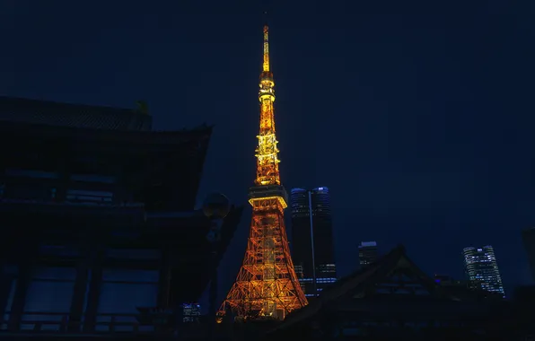 Picture night, Tower, Japan, Tokyo, Tokyo, Japan, Tokyo Tower, Lighting Night