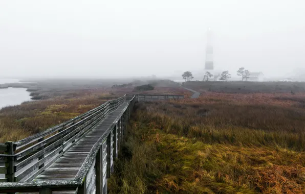 Picture fog, lighthouse, morning