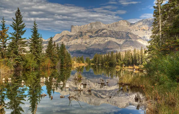 Picture trees, mountains, lake, Park, reflection, Jasper, Alberta, Canada