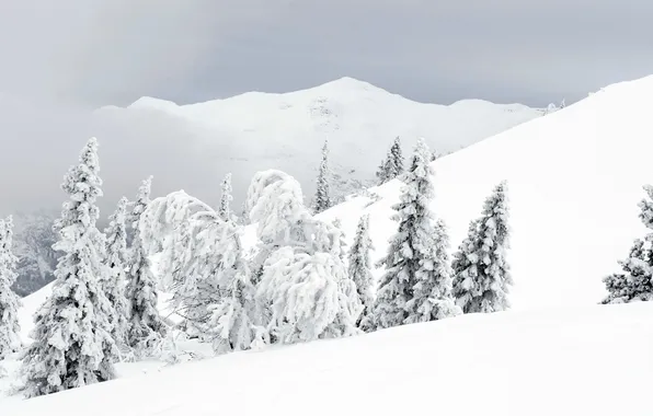 Winter, mountains, nature