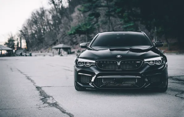 Picture BMW, Dark, Predator, Front, Black, Face, F90