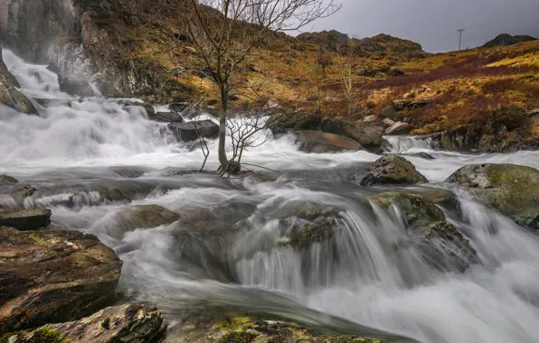 Mountains, stones, tree, rocks, waterfall, cascade, Wales