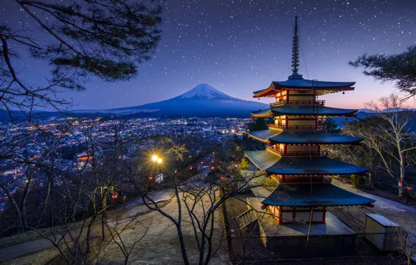 The sky, trees, landscape, night, nature, mountain, spring, stars