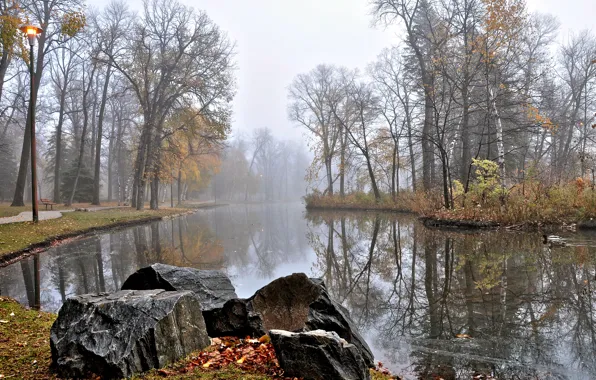 Trees, water, Park, lake, rocks, bench, ducks