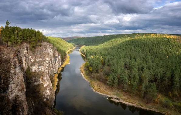 Picture forest, river, landscape, nature, water, autumn, beauty, travel