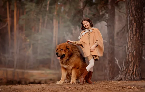 Picture forest, dog, girl, walk, friends, dog, Tibetan Mastiff, Valentine Ermilova