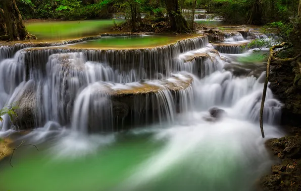 Forest, trees, river, cascade