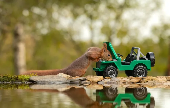 Machine, look, water, pose, reflection, toy, protein, jeep