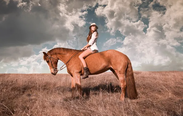Picture girl, horse, rider