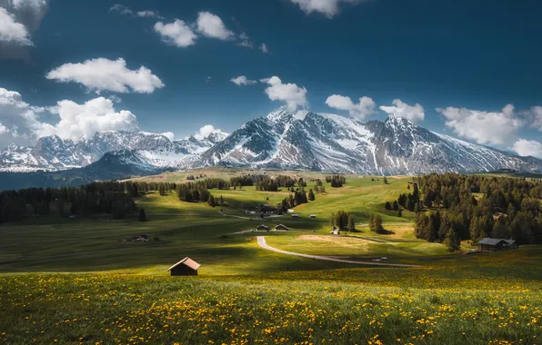 Road, field, forest, summer, the sky, clouds, light, snow