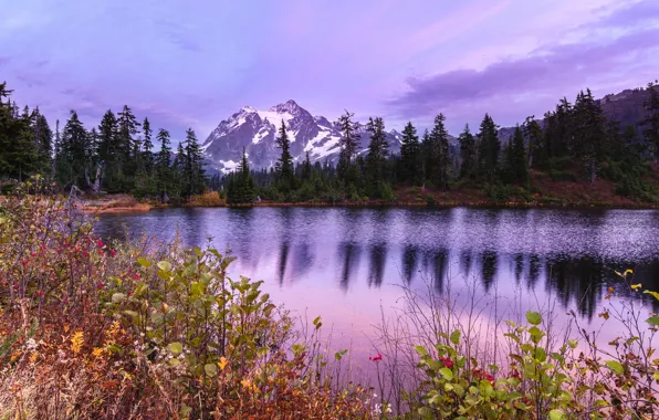 Trees, landscape, sunset, mountains, nature, lake, ate, USA