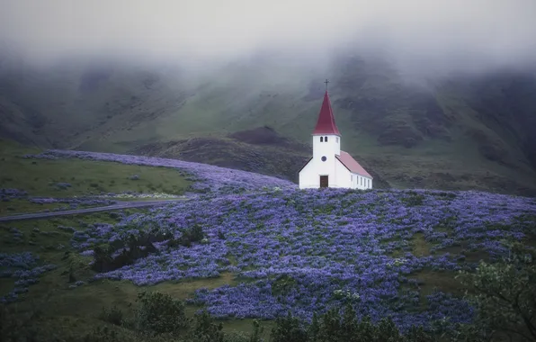 Field, flowers, mountains, fog, hills, morning, meadow, Church