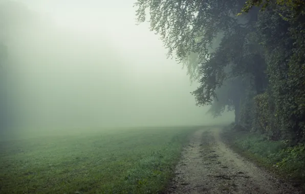 Road, field, nature, fog, morning