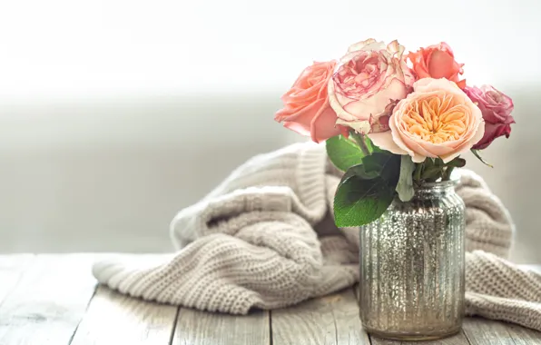 Picture style, Board, roses, Bank, sweater, Bucht