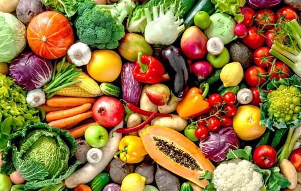 Mushrooms, oranges, harvest, bow, eggplant, pumpkin, pepper, fruit