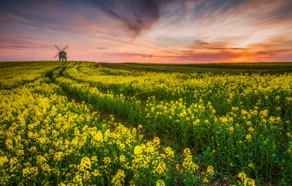 Field, the evening, UK, County, rape, windmill, Warwickshire, monument