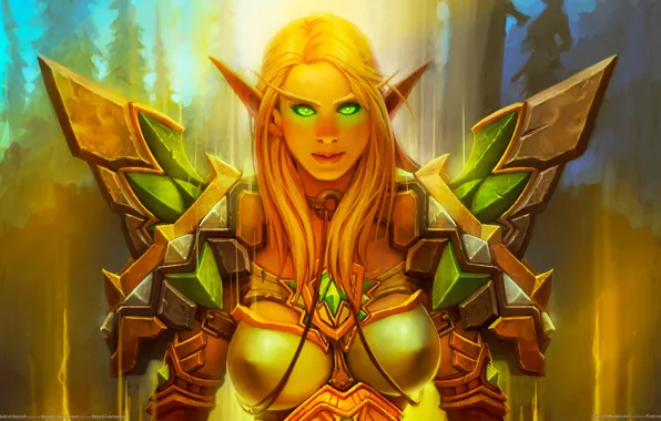 Picture armor, green eyes, paladin, world of warcraft, blood elf, blizzard entertainment, bloody elf, paladin