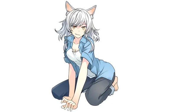 Girl, neko, ears, Bakemonogatari