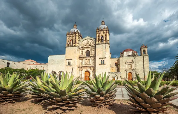 The sky, the sun, clouds, trees, clouds, palm trees, Mexico, Church