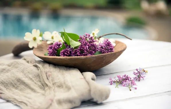 Macro, background, lilac