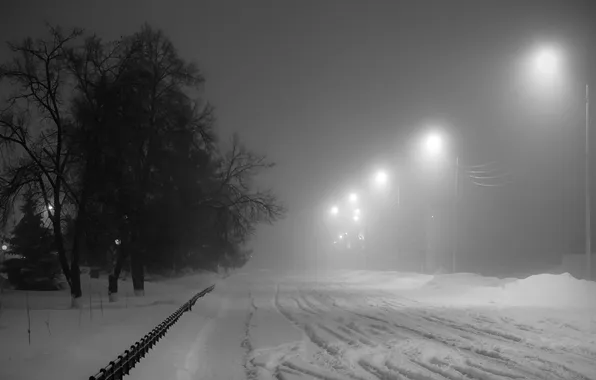 Picture lights, dark, trees, night, monochrome, snow, path, street light