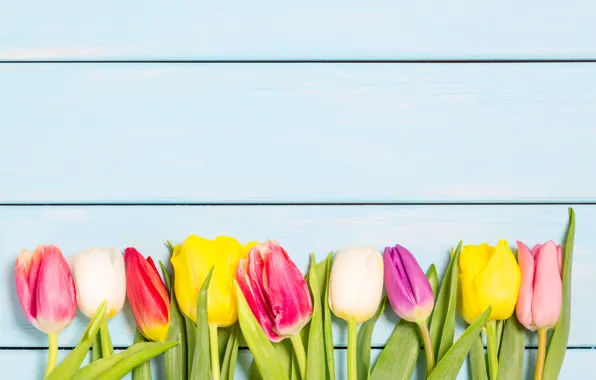 Picture flowers, colorful, tulips, wood, flowers, tulips, spring