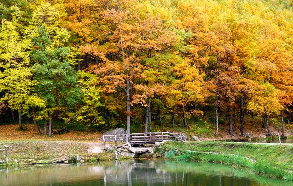 Autumn, trees, landscape, bridge, nature, lake, Landscape, trees