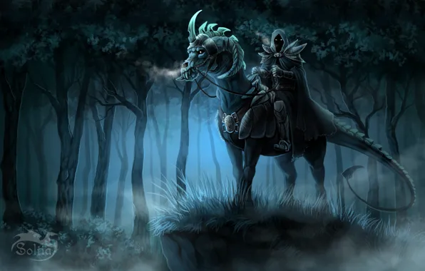 Picture forest, look, night, fiction, art, hood, rider, armor